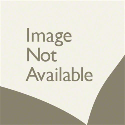 Great Basin in Desendant Vinyl Sheet Goods