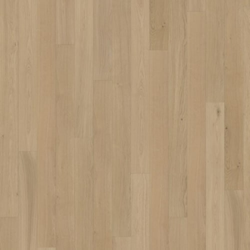 Canvas Collection In Oak Fawn