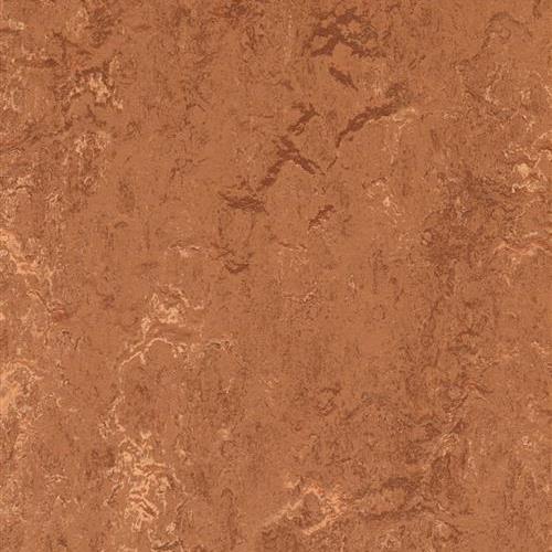 Marmoleum Real in Rust Vinyl Sheet Goods