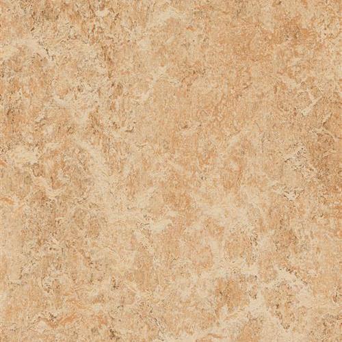 Marmoleum Real in Shell Vinyl Sheet Goods