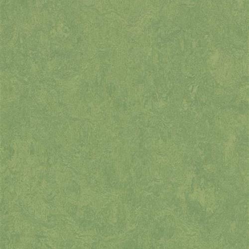Marmoleum Fresco in Leaf Vinyl Sheet Goods