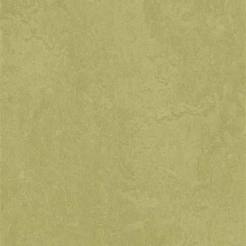 Marmoleum Fresco in Avocado Vinyl Sheet Goods