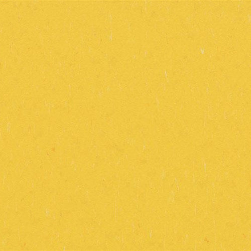 Marmoleum Piano in Sunray Vinyl Sheet Goods