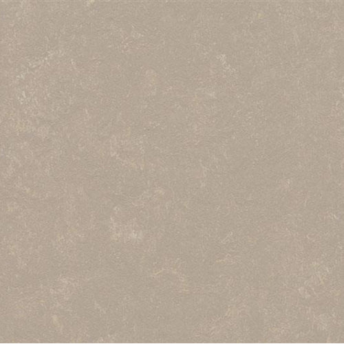 Marmoleum Concrete in Fossil Vinyl Sheet Goods