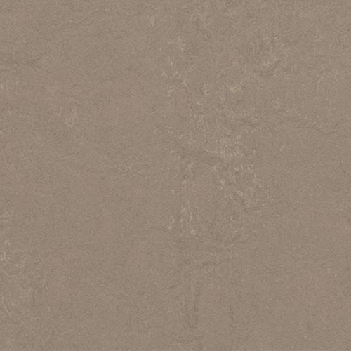Marmoleum Concrete In Silt