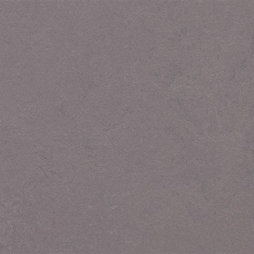 Marmoleum Concrete in Stella Vinyl Sheet Goods