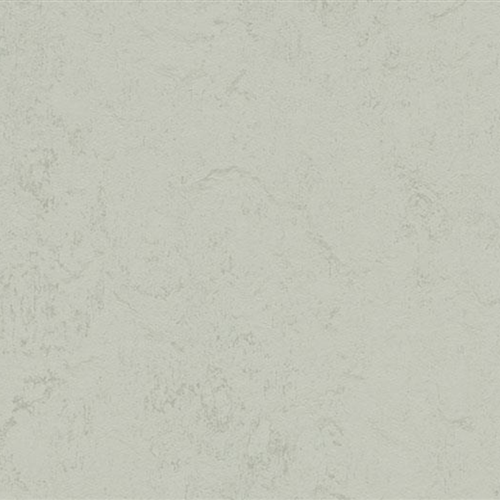 Marmoleum Concrete In Asteroid