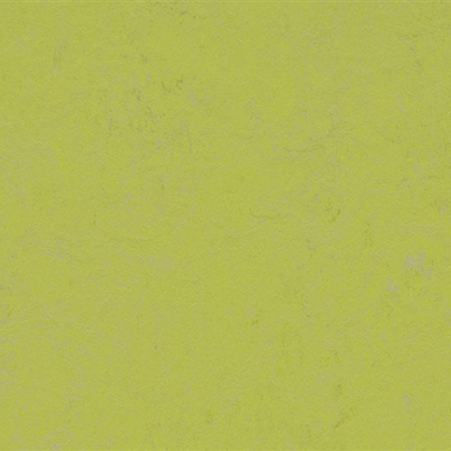 Marmoleum Concrete In Green Glow
