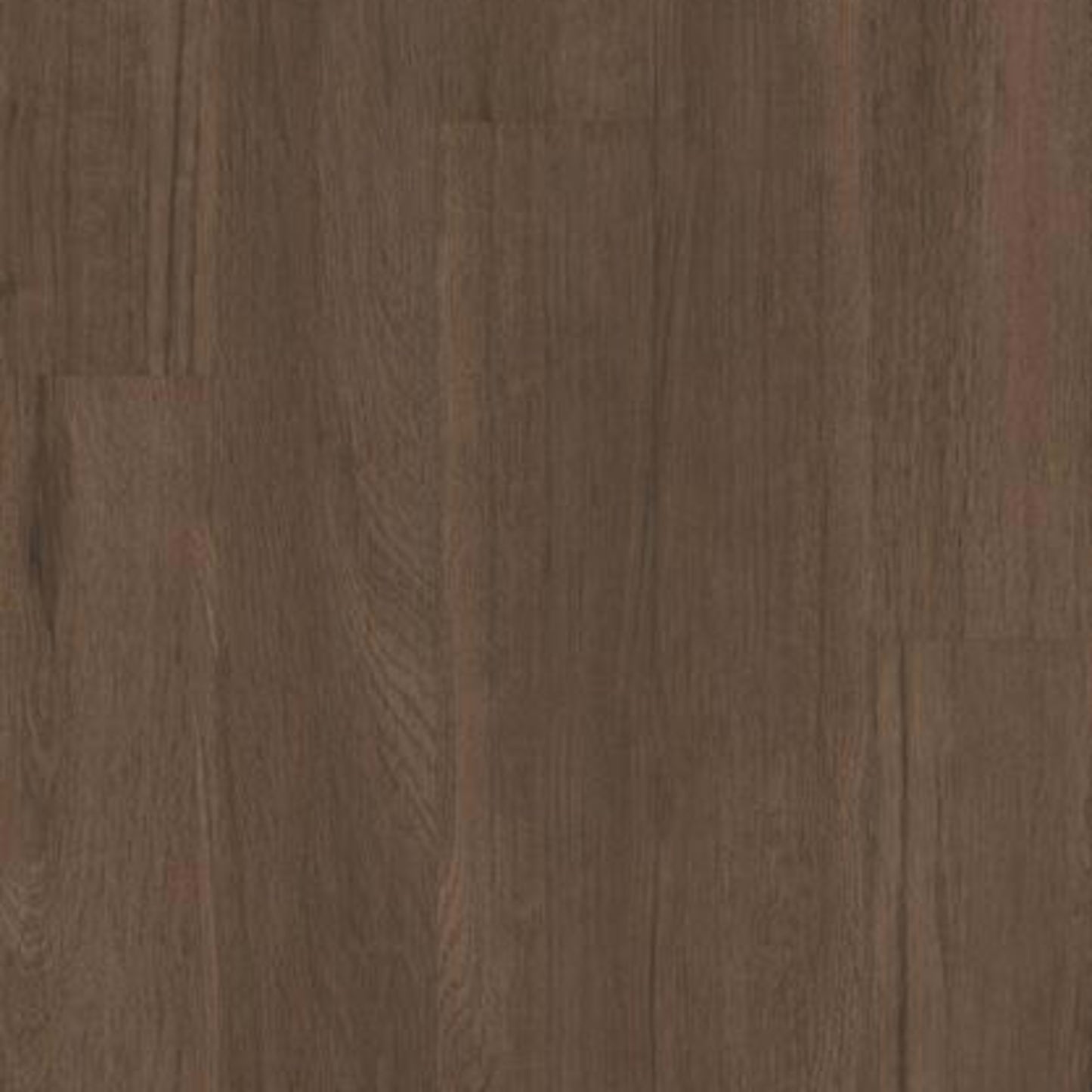 Gate Keeper 12 Mil in Saguaro Luxury Vinyl