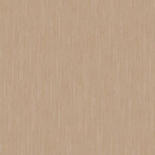 Pro Solutions Db In Latte