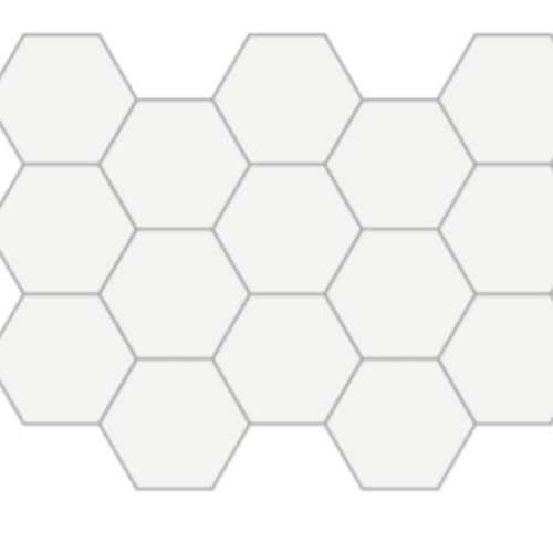 Blanco in Blanco - Hexagon P Tile