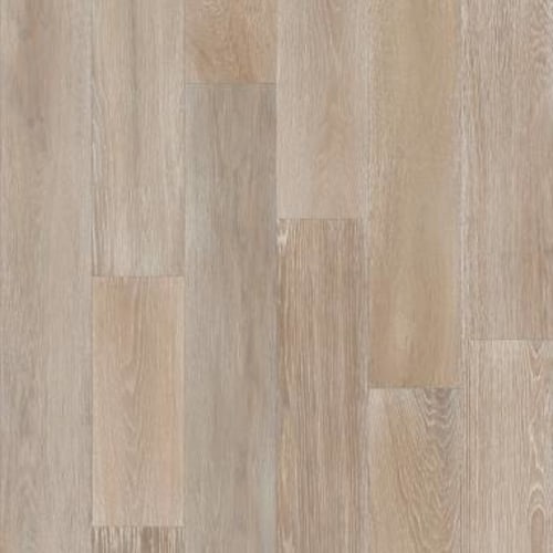 Coast To Coast in Tidepool