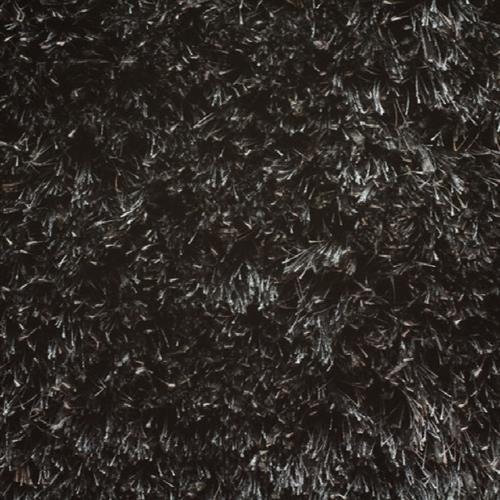 Avantgarde - Shaggy Majestic