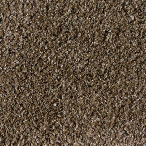 Avantgarde - Shaggy Plush