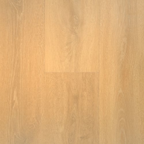 Nuvolux 8 - Adirondacks In Wheat