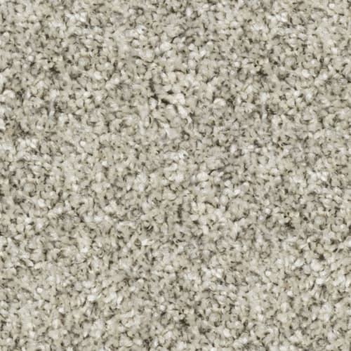 Tryesse & Tri-Color - Stadium