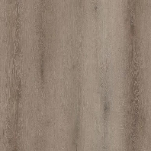 Bambino Collection In Coffee Feather