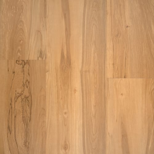 Nuvomax 8 - Beach House In Natural