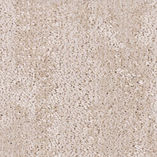 Tryesse Pro - Souvenir From Canada