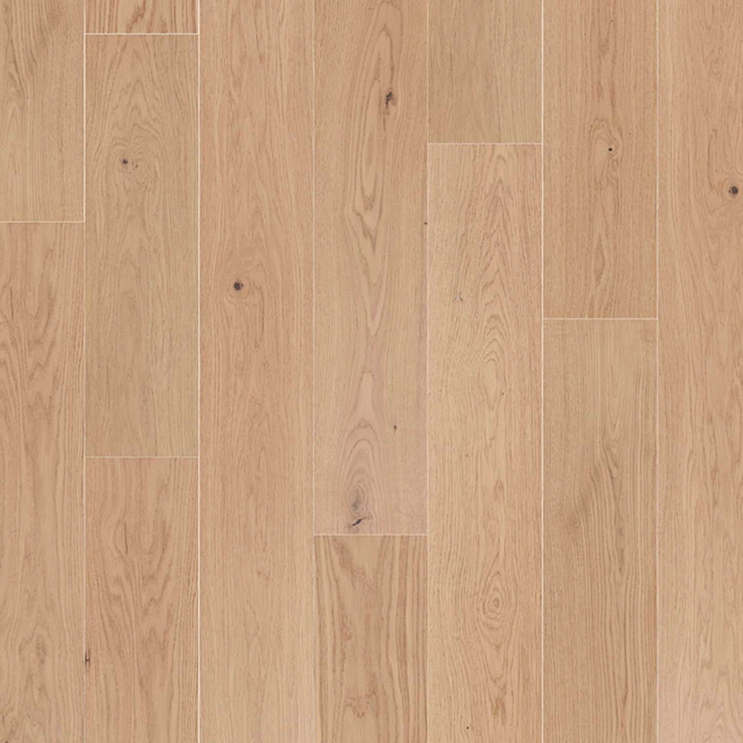 Grand Appeal in Champagne Oak Hardwood