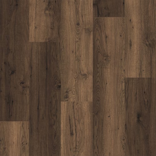 Puregrain Renew - Riverwood In Beech Forest
