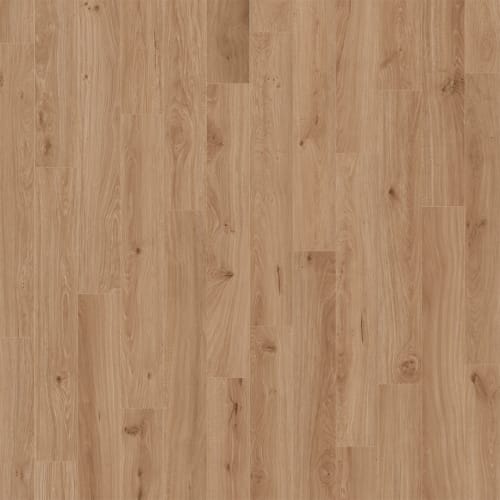 Puregrain High-Def - Divine In Tupelo