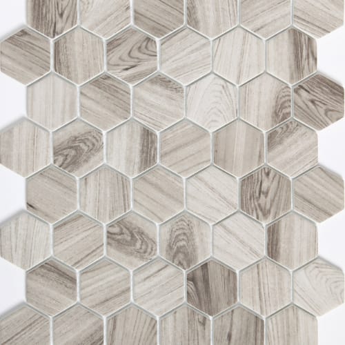 Echo In Gray 2" Hexagon