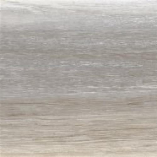 Orchard in Evening Tile