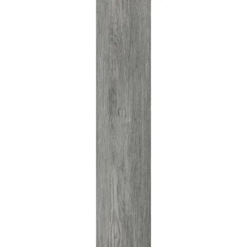 Magnolia In Ash