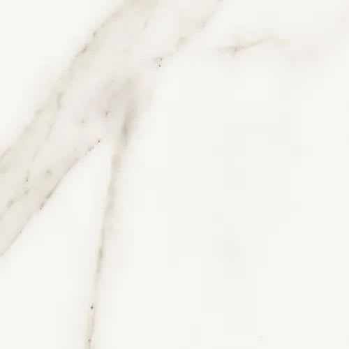 Precious In Calacatta 5" X 14"