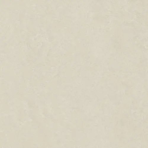 Time 2.0 In White Natural 12" X 24"