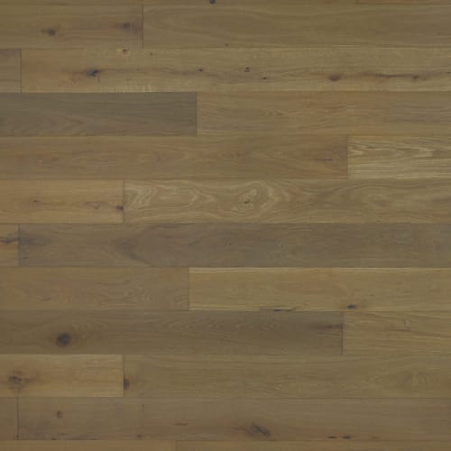 Alta Vista In Apollo