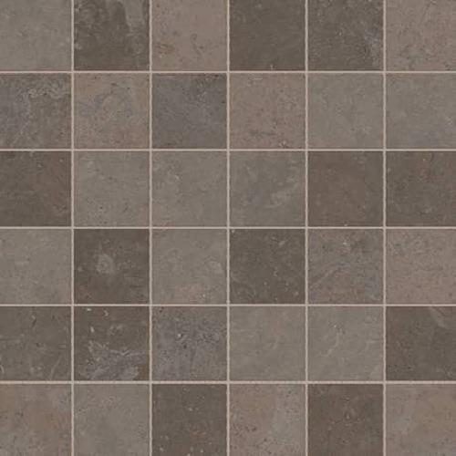 Parksville Stone In Matterhorn Limestone - 2X2 Mosaic