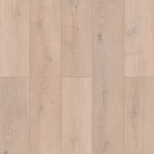 Indoor Delight In Lotus Clove