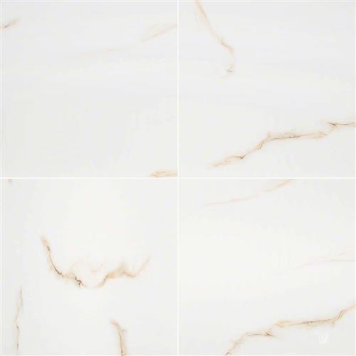 Aria in Bianco Polished Tile