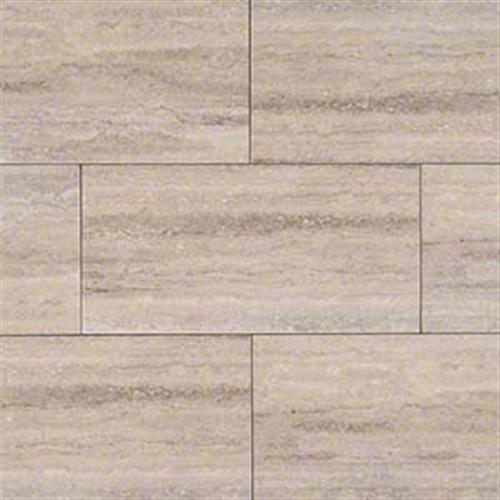 Veneto In Gray