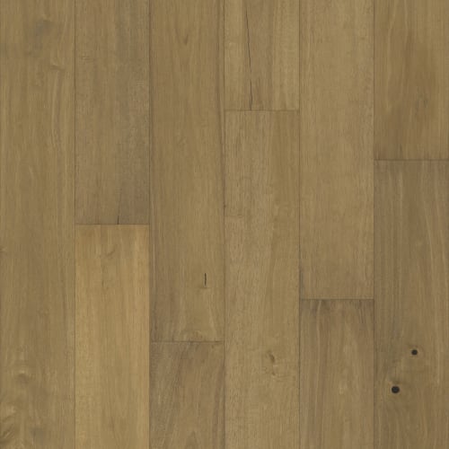 Pacific Pecan In Tabor Pecan