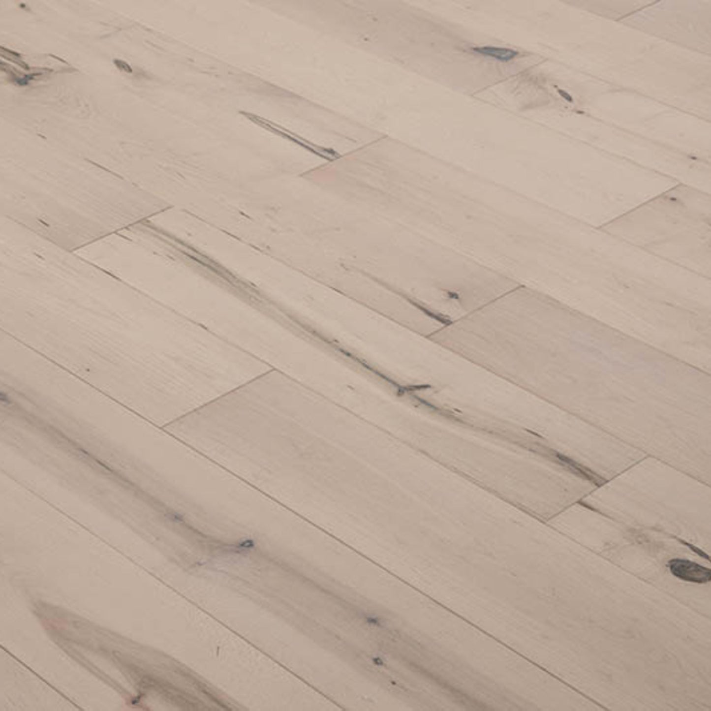 Bailey in San Rafael Hardwood