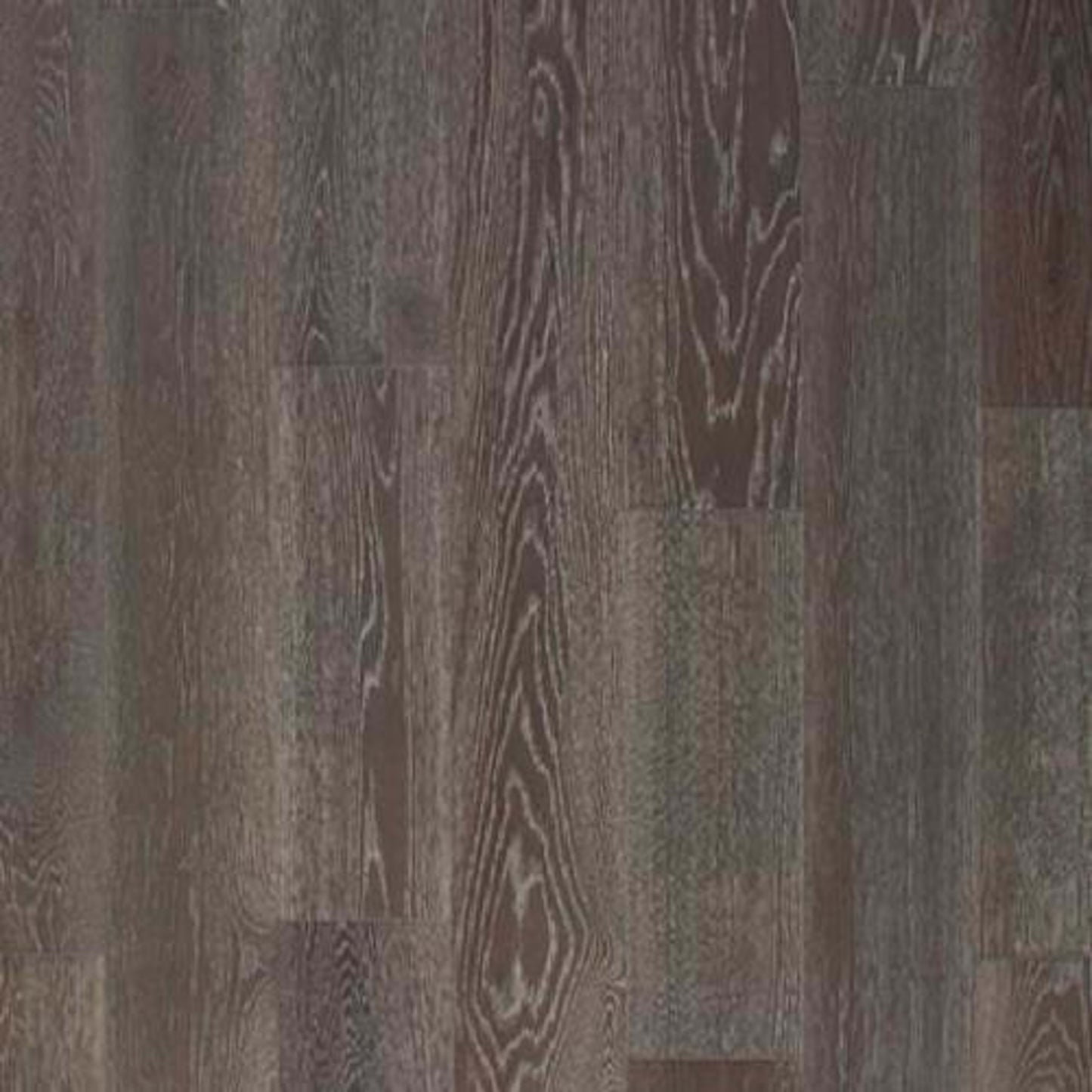 Bailey in Santa Cruz Hardwood