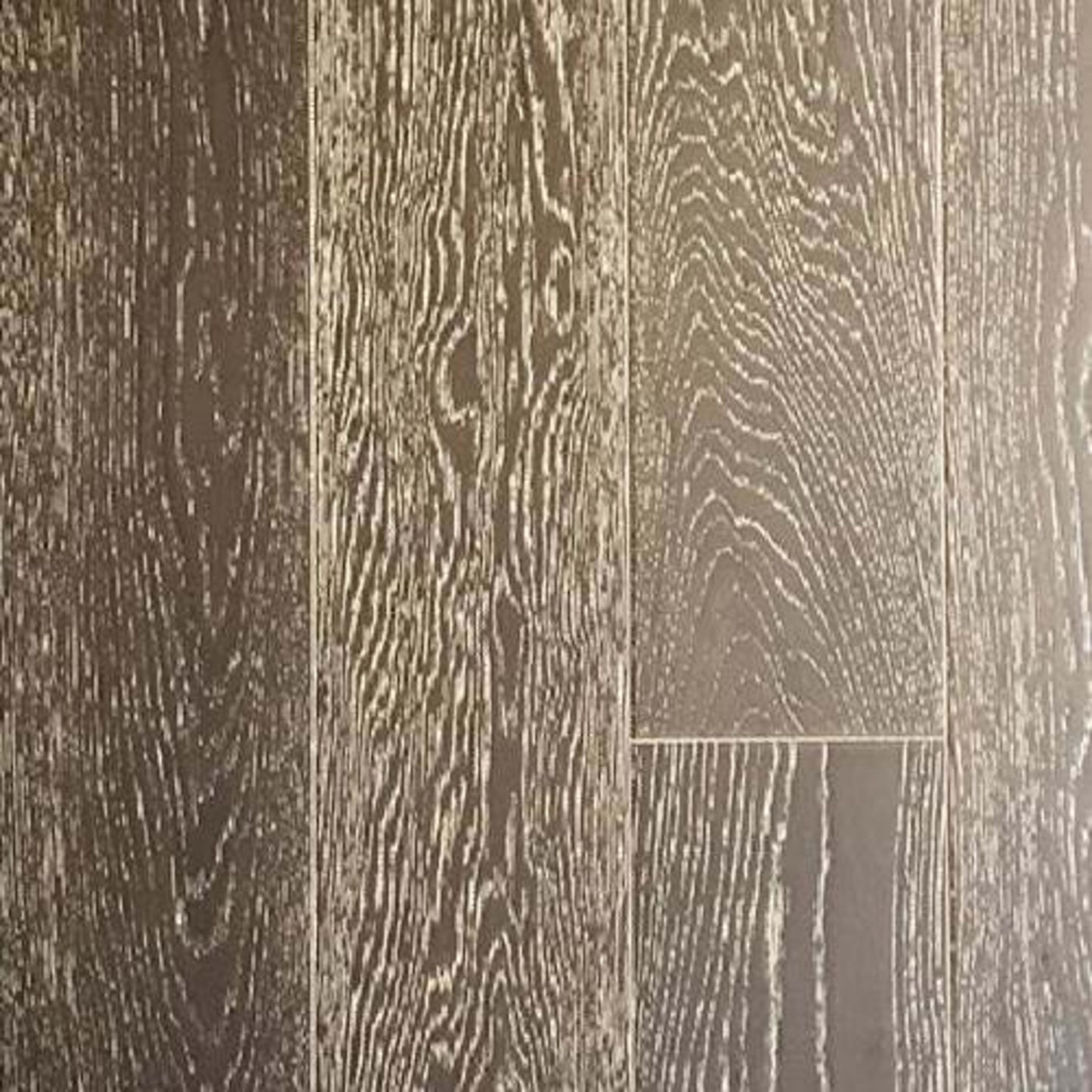 Bailey in Santa Luz Hardwood