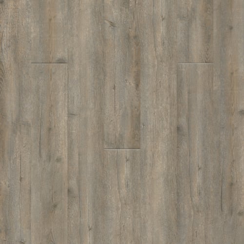 Puregrain Endure - Lifestyle In Playa