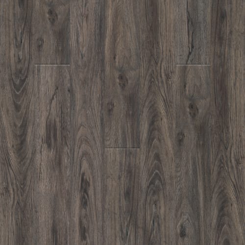 Puregrain Endure - New Standard Ii In Caicos