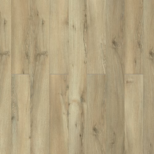 Puregrain Endure - Lifestyle In Key Largo