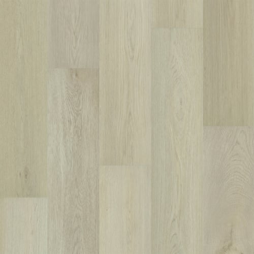 Puregrain Endure - Preference In Moonstone