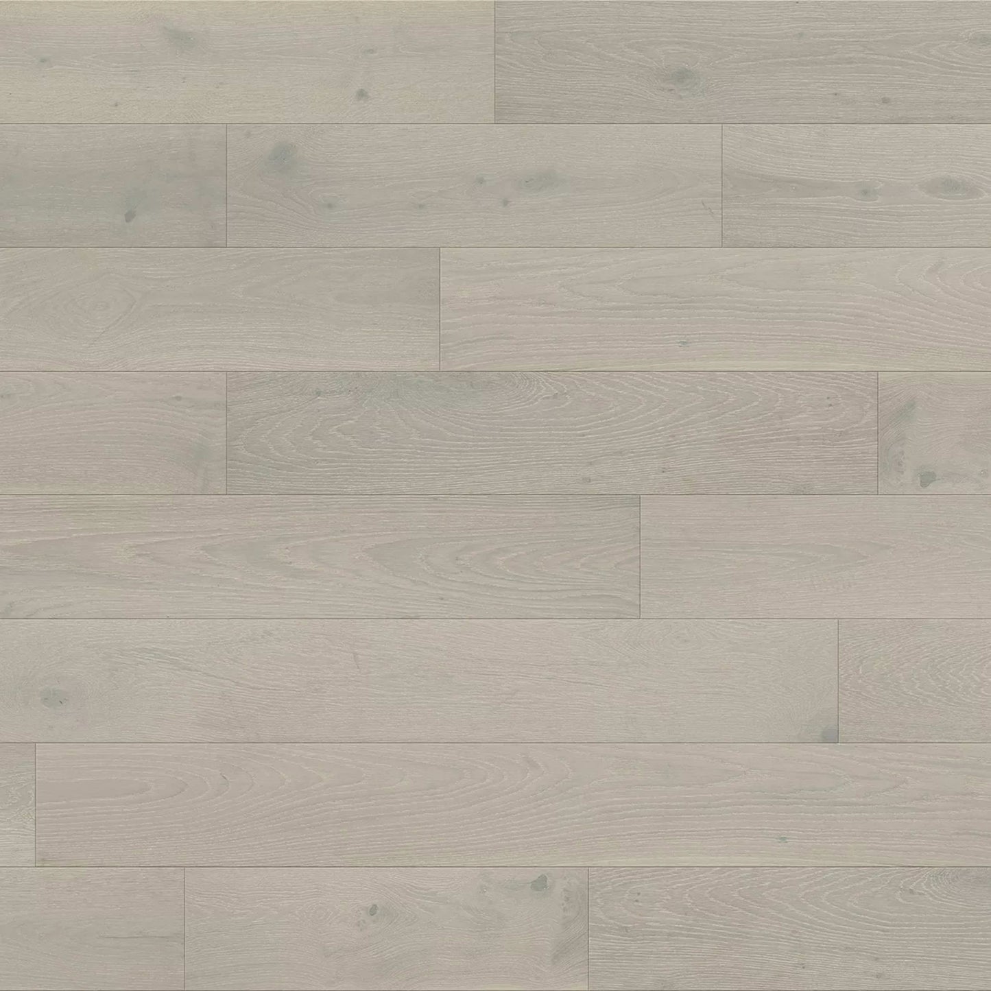 Clarkson in Palermo Hardwood