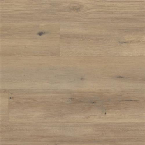 Korlok Select In Canadian Urban Oak 9" X 56"