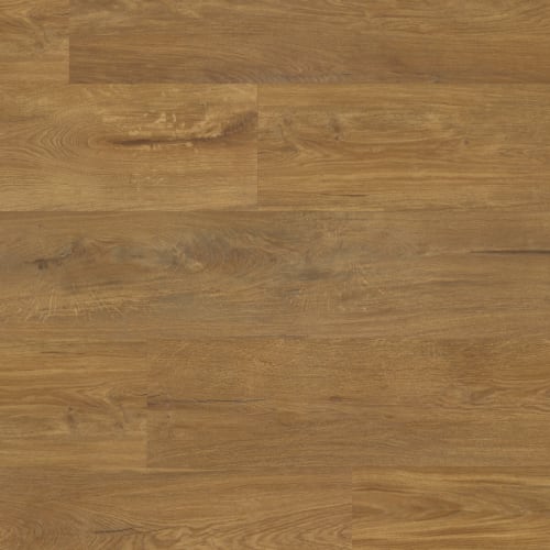 Korlok Select in Glenmore Oak