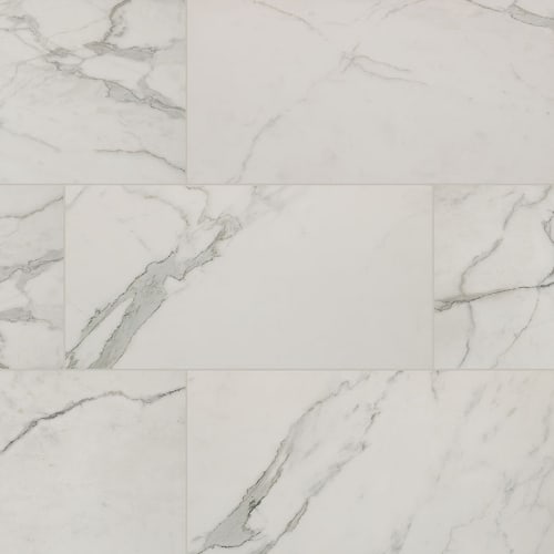 Regallo in Calacatta Isla - 12x24 Polished Tile