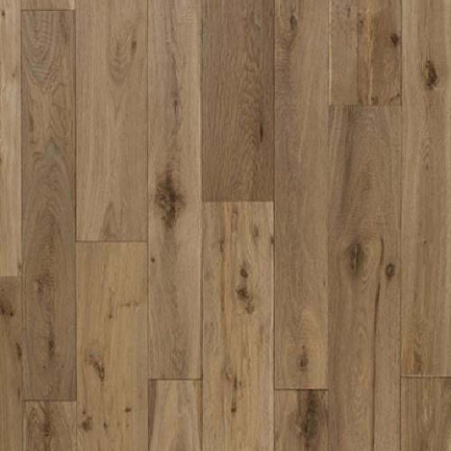 Athena Lane in Fairbanks Hardwood