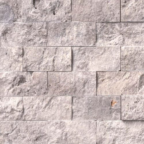Silver Travertine In Gray-Light 2X4